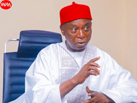Ned Nwoko Biography