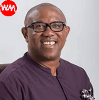 Peter Obi Biography